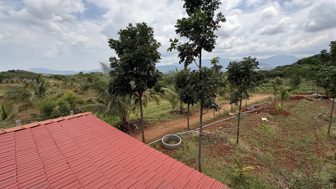Farm View